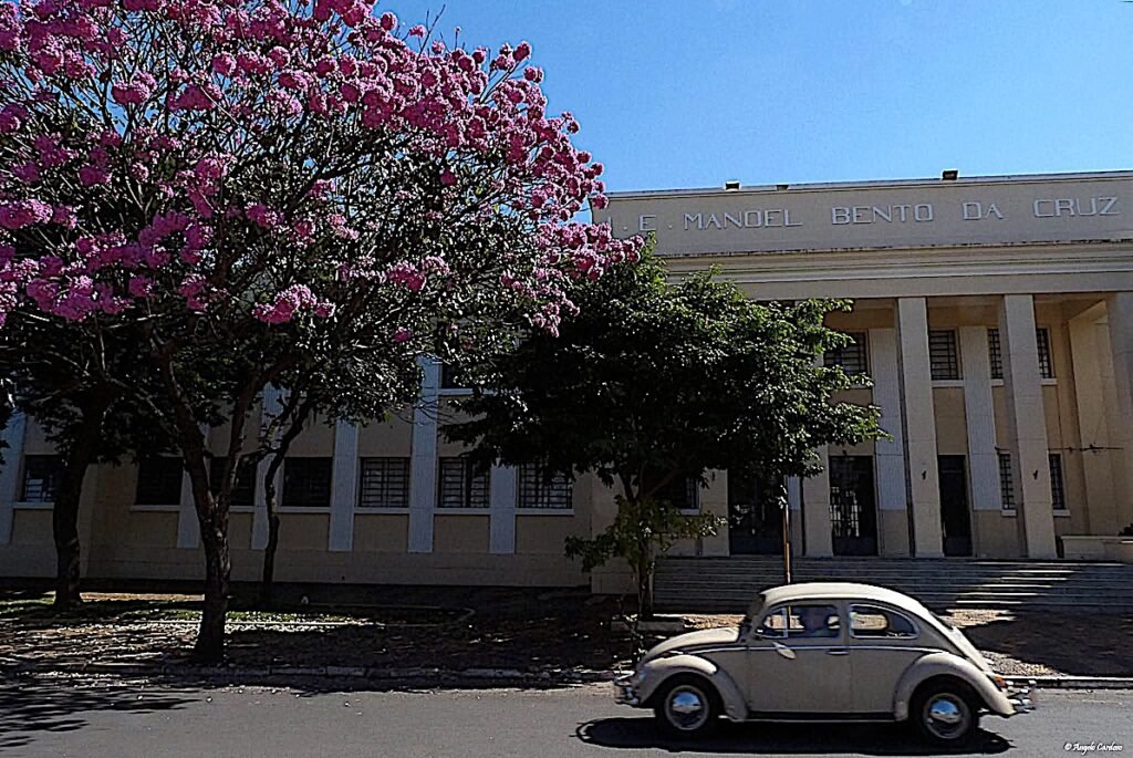 IE Manoel Bento da Cruz